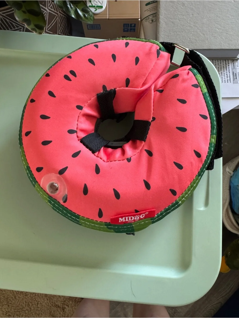 MIDOG Watermelon Inflatable Pet Soft Cone Collar Size XS